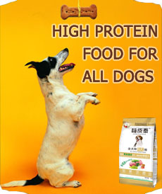 HIGH PROTEIN FOOD FOR ALL DOGS